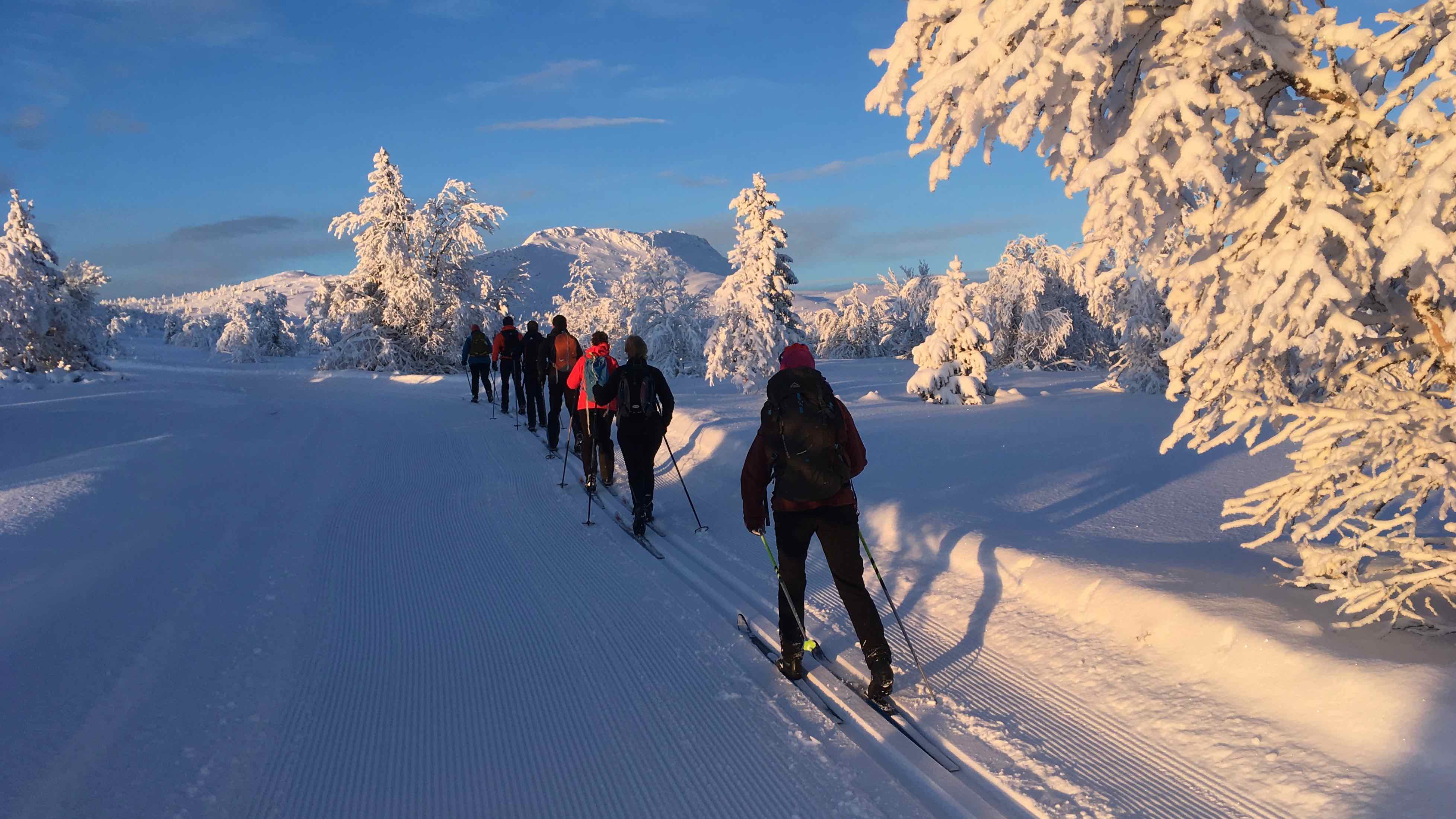 The wide ski trails of Venabu