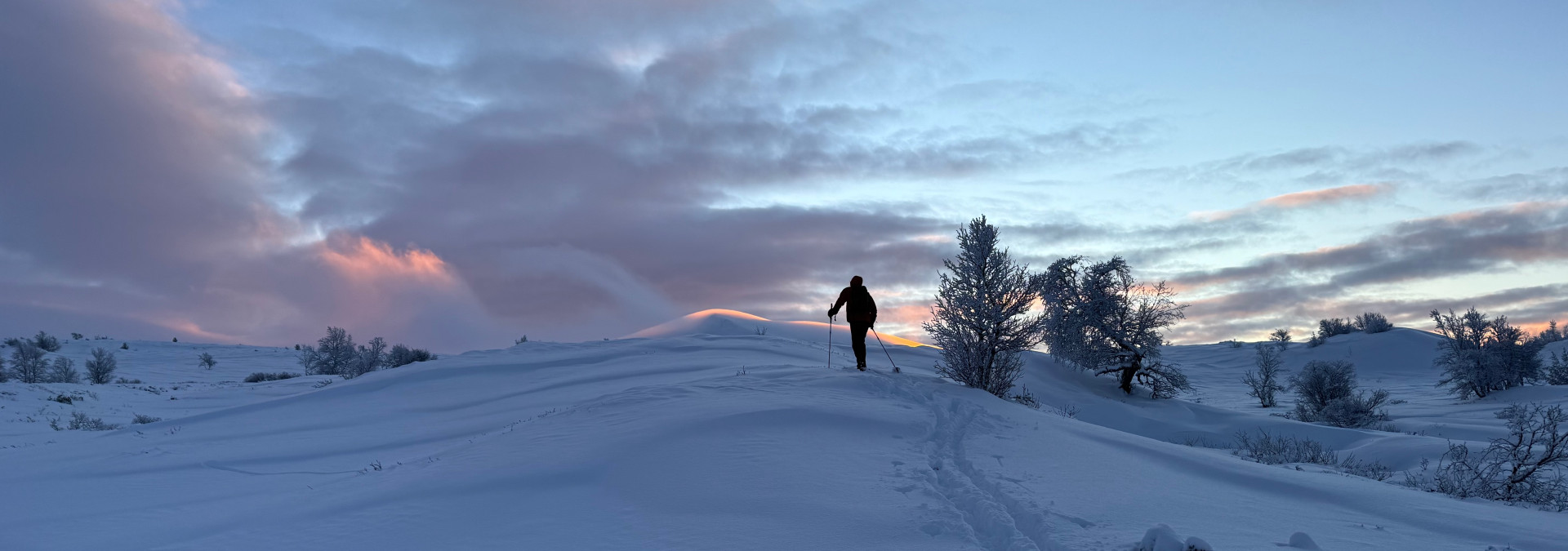 We love the 'light' in Norway
