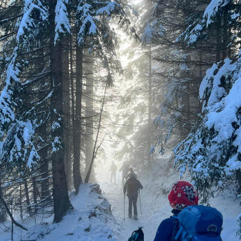 Snowshoeing into the trees