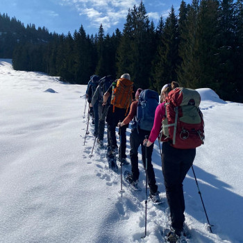 Snowshoers in one line