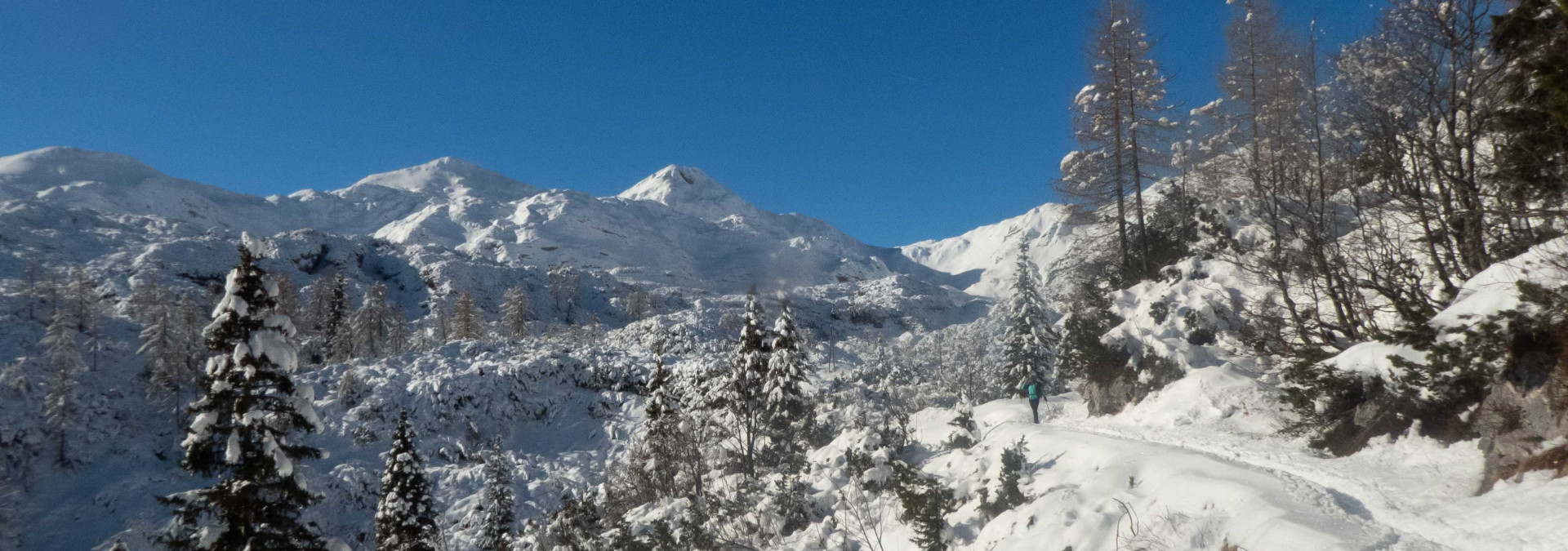 Snowshoe the Julian Alps, Slovenia