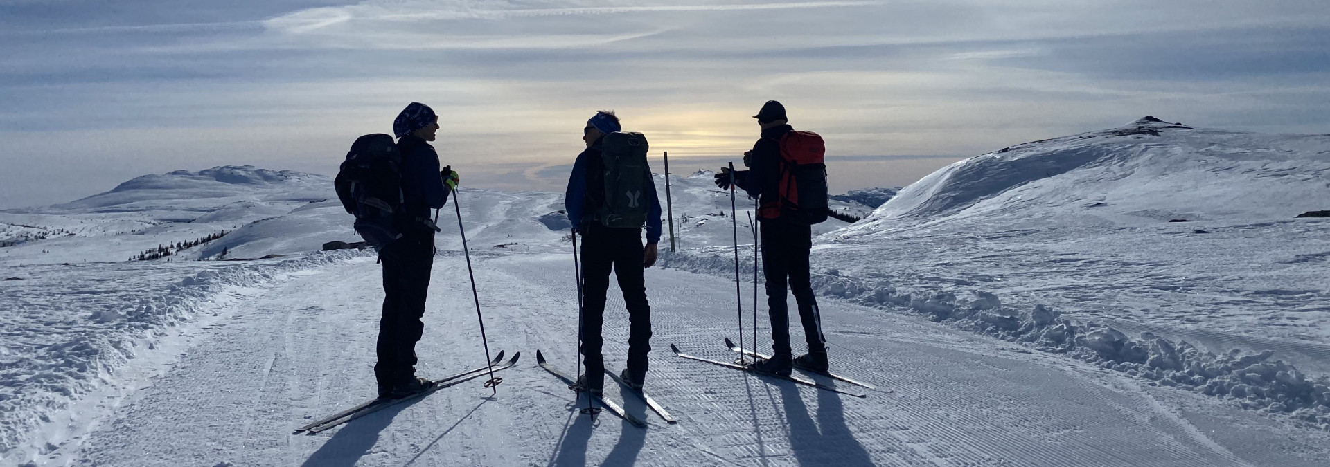 The Hallingdal Track