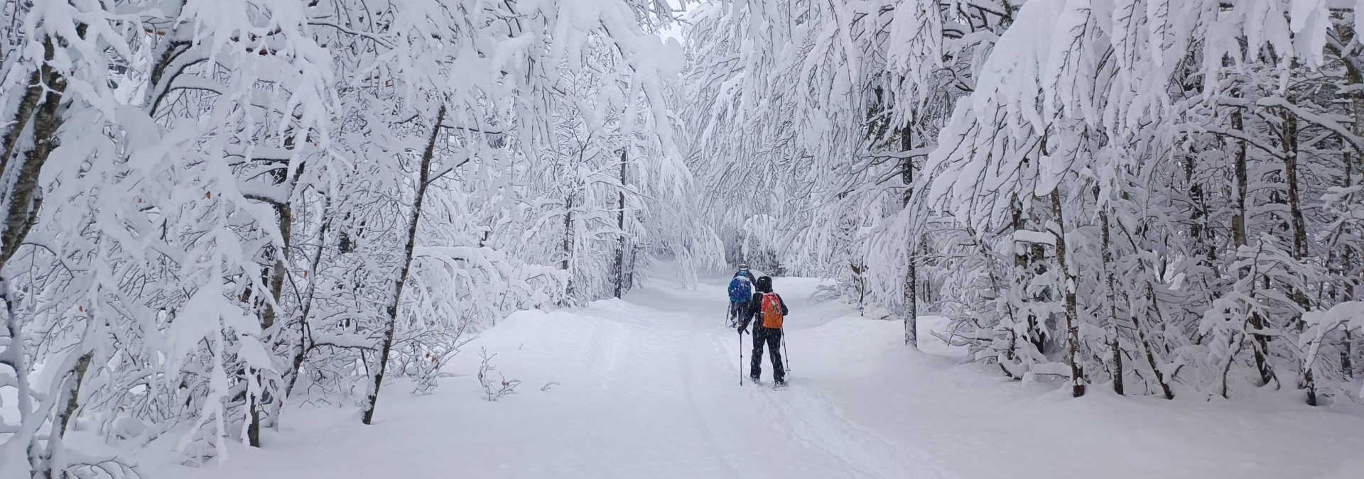 Snowshoe the Julian Alps, Slovenia