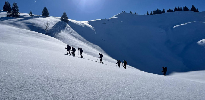 Snowshoe in openfield