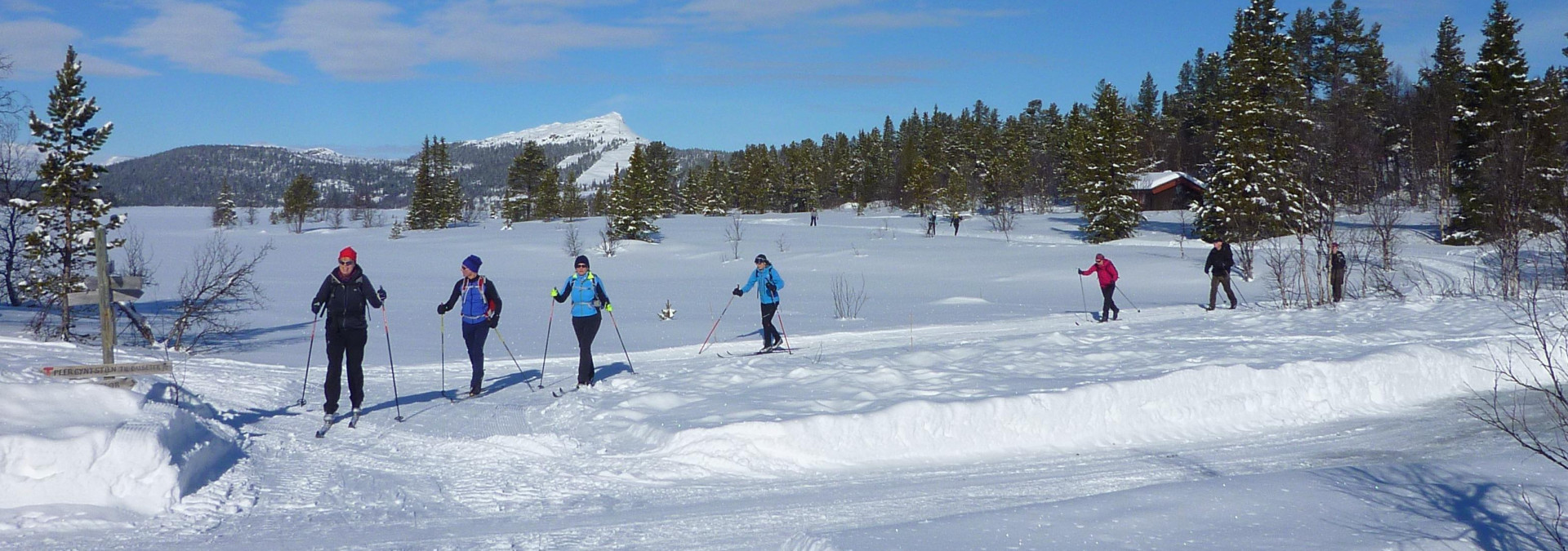 Loving cross-country skiing 