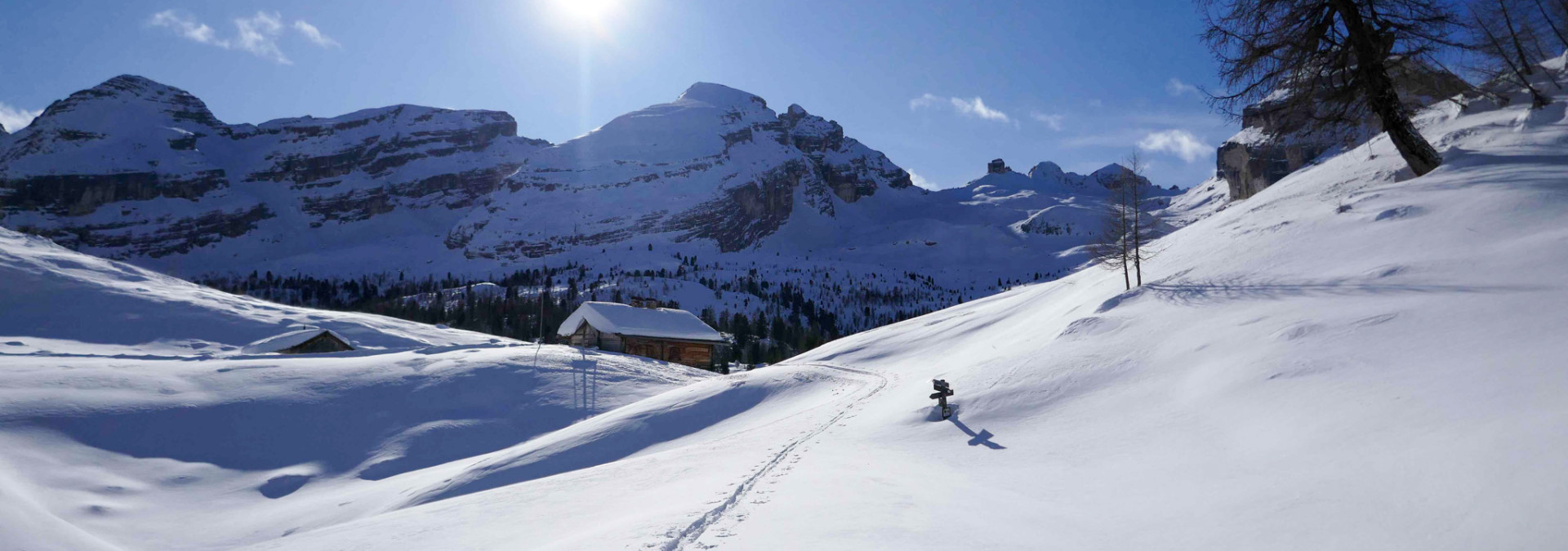 Snowshoe trails in the Dollies 
