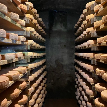 Local cheese&nbsp;tasting experience with Bernard who has a herd of Tarine cows.&nbsp;