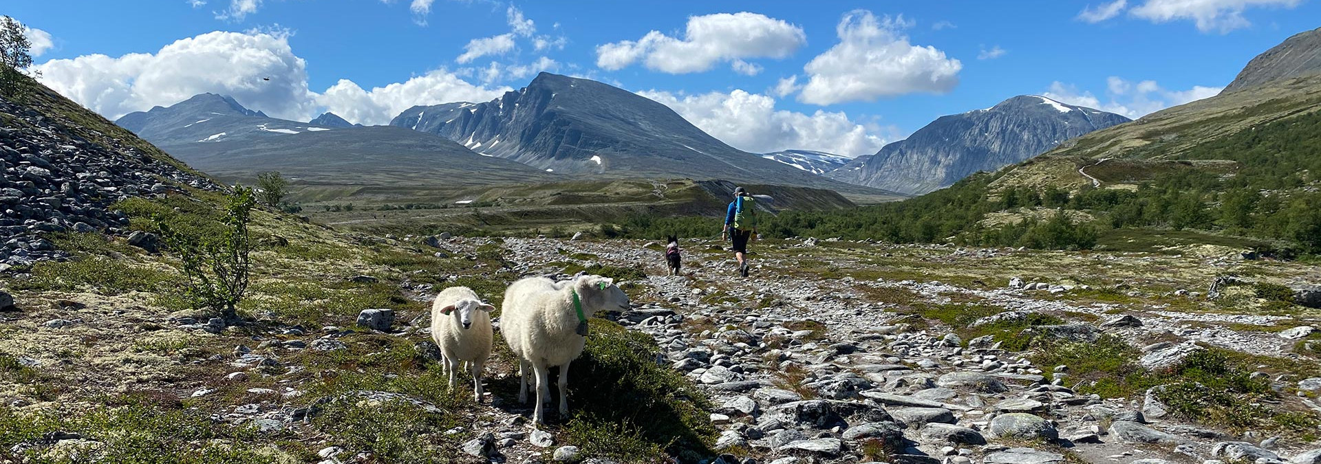 Rondane Mountains, Norway 
