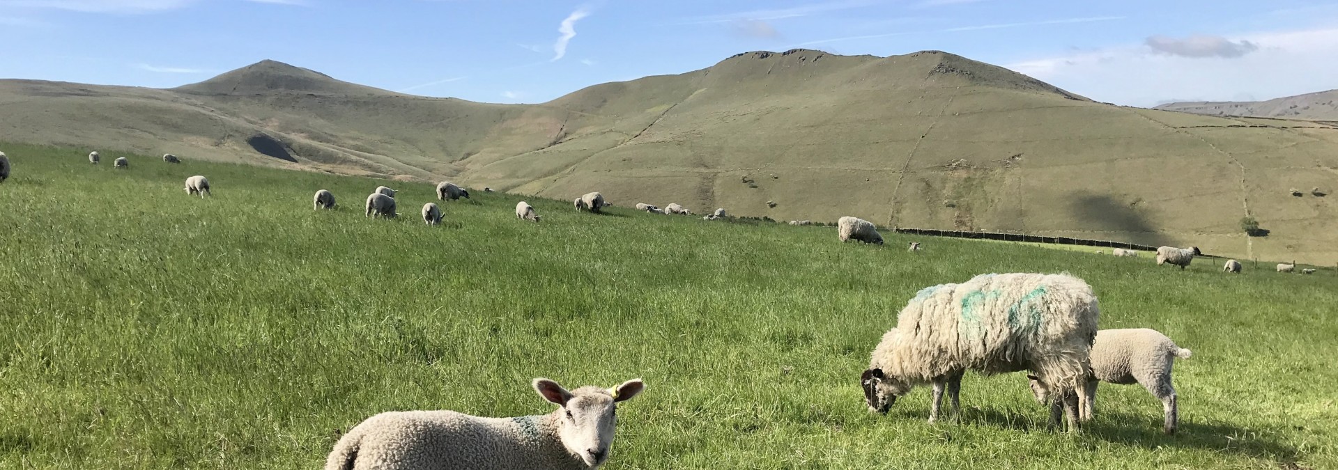 The Peak District National Park