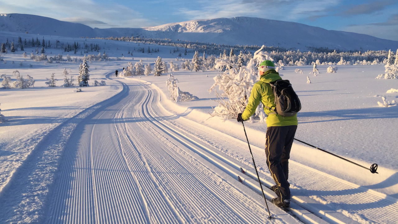 Glorious winter track perfection!