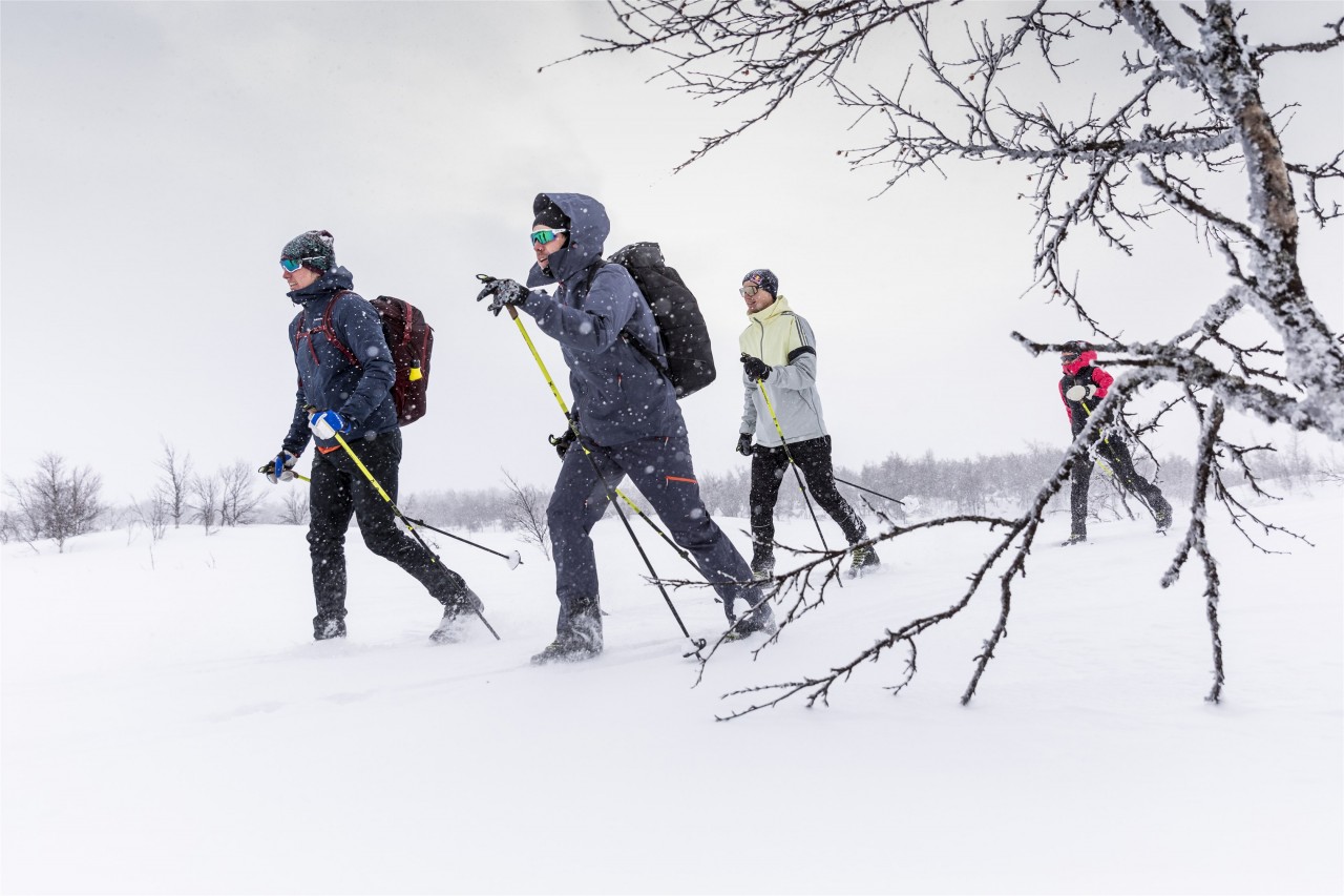 Freedom to explore 'off-track'